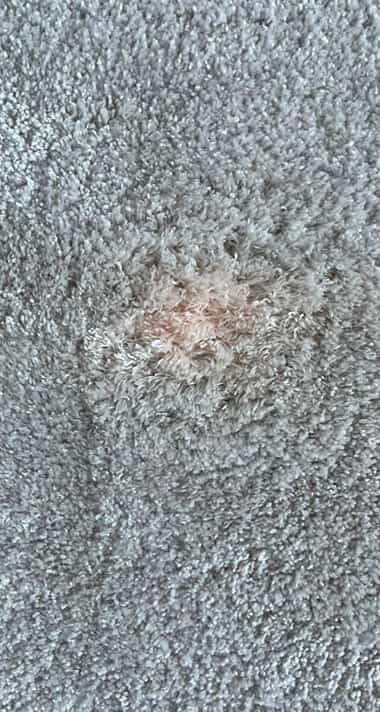 all Carpet Repair Brisbane
