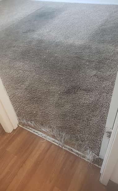 Brisbane Carpet Repair